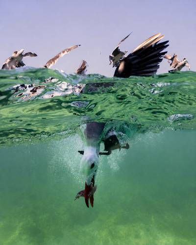 Banamex-inaugura-en-Guadalajara-El-Mexico-de-los-mexicanos-con-55-fotografias