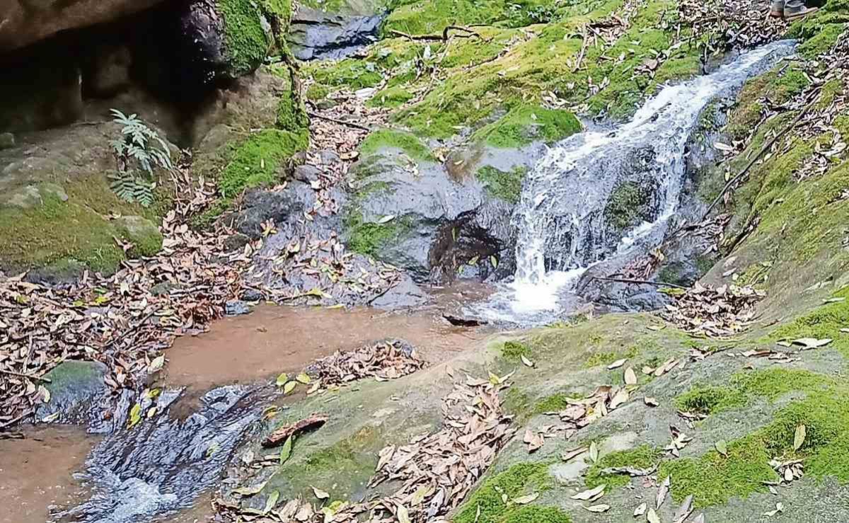 Continua-remediacion-tras-derrame-que-contamino-manantiales-en-Magdalena-Chichicaspa-Huixquilucan