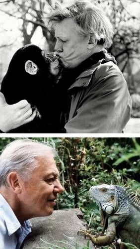 David-Attenborough-cumplira-100-anos-el-8-de-mayo-de-2026-1