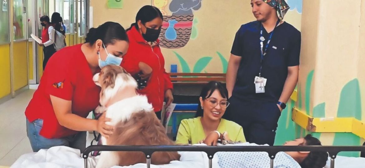 Lomitos-disminuyen-el-estres-en-ninos-hospitalizados-programa-del-Instituto-Nacional-de-Pediatria-supera-2700-atenciones