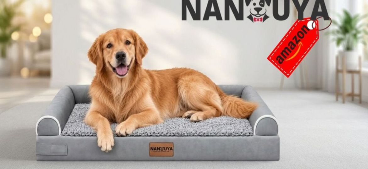 Cama-ortopedica-NANUYA-para-perros-grandes-baja-a-409.92-en-Amazon